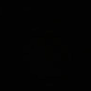 Meet your Posher, Bianca